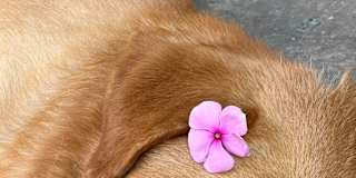 Photo of Natthanicha