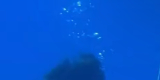 Photo of Hunter Gooding