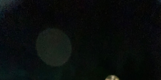 Photo of Zoie Parker