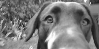 Photo of j