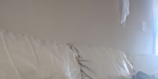 Photo of Sierra Longworth