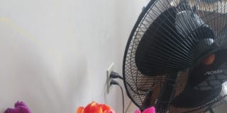 Photo of Sharmin Rahman