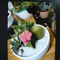 Miss Renee K. Taylor-BA-French