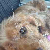 Photo of Rita