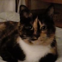 Photo of Jill