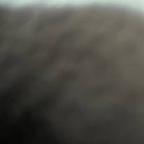 Photo of Sukh