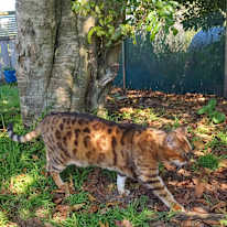 Photo of Diana