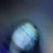 Photo of Bo
