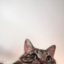 Photo of Kate