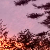 Photo of Tanya Chaisson