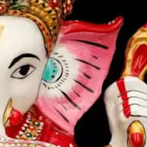 Photo of Shalu raj