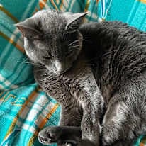 Photo of William