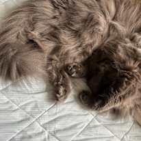 Photo of Keiko