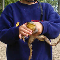Photo of Joseph Lalonde