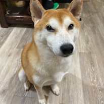Photo of Yin-Fei