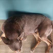 Photo of Julie