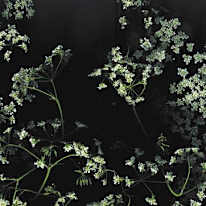 Photo of Misty Patel