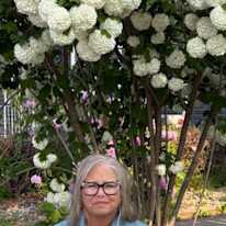Photo of Tammy Cameron