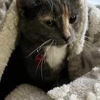 Photo of Erika