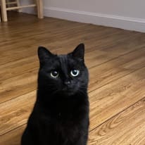 Photo of Mimi