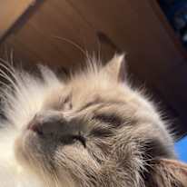 Photo of Leah