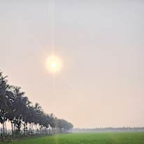 Photo of Shaheela