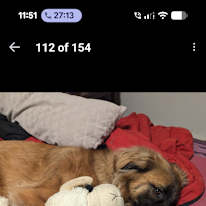 Photo of Brianna Rose