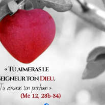Photo of Mireille