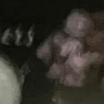 Photo of Scottdoherty