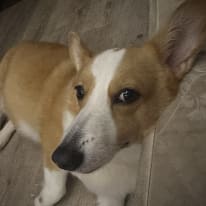 Photo of Meikee