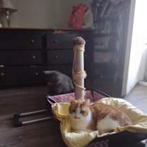 Photo of Jack