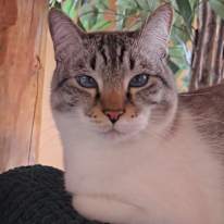 Photo of Jessica