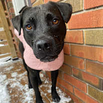 Photo of Rachel Bercowski