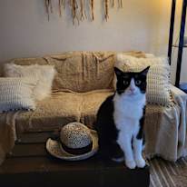 Photo of Sharon
