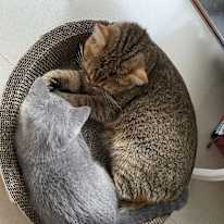 Photo of Junmou