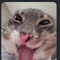 Photo of Sam