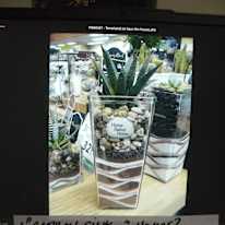 Renee K. Taylor--Former Telephone Interviewer