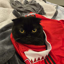 Photo of Quinn