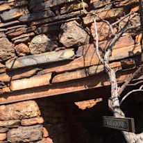 Photo of Ntebo Khutlane