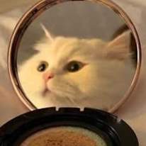 Photo of Mari