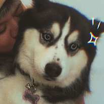 Photo of Jax