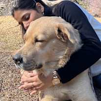 Photo of Kirti
