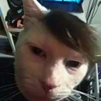 Photo of Rayan