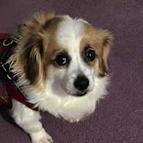 Photo of Gina