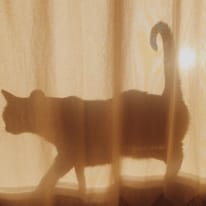Photo of Brianna