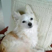 Photo of Melinda