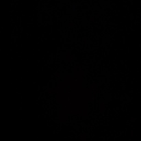 Photo of Tia