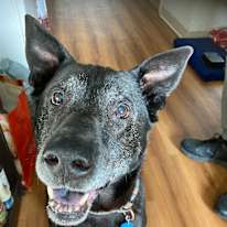 Photo of timothy