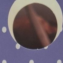 Photo of Aline
