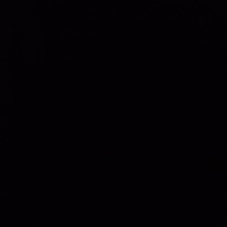 Photo of Kamal